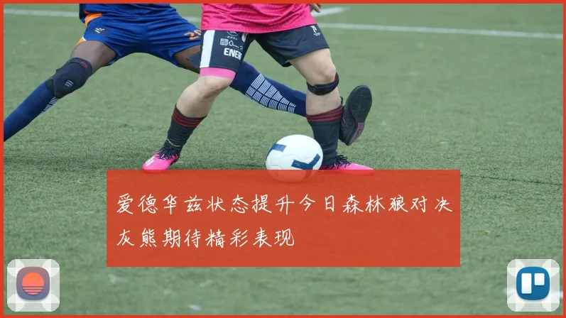 爱德华兹状态提升今日森林狼对决灰熊期待精彩表现