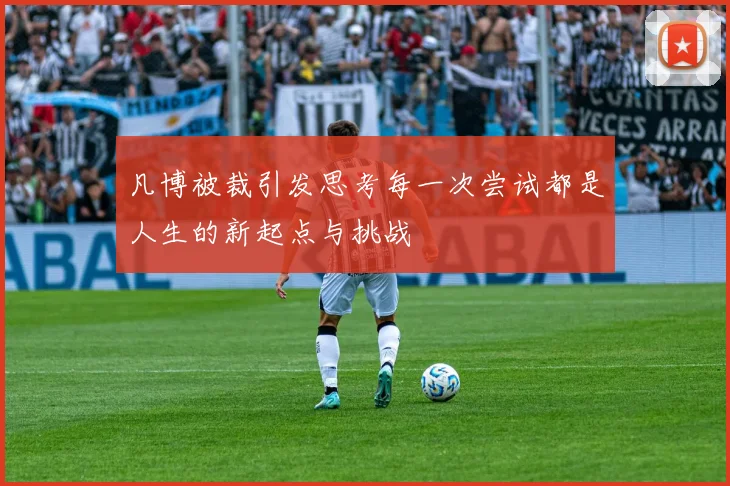 凡博被裁引发思考每一次尝试都是人生的新起点与挑战