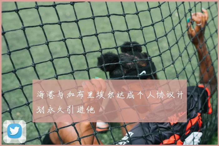 海港与加布里埃尔达成个人协议计划永久引进他
