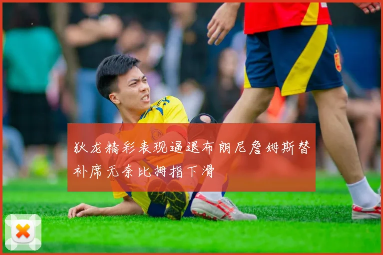 狄龙精彩表现逼退布朗尼詹姆斯替补席无奈比拇指下滑