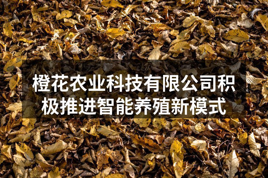 橙花农业科技有限公司积极推进智能养殖新模式